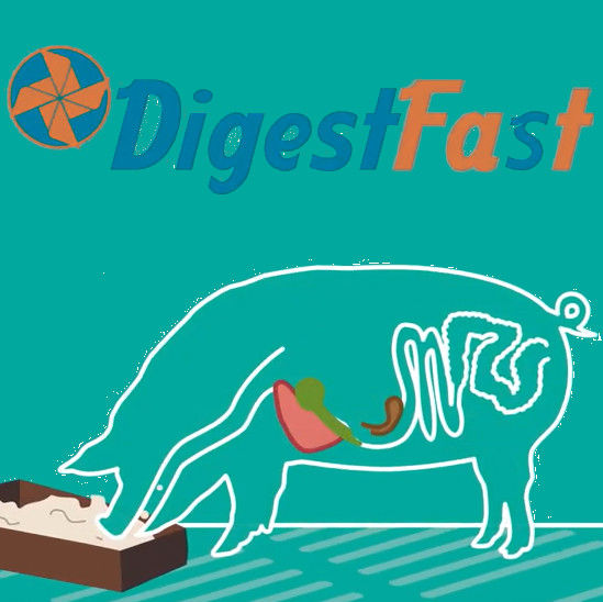 Digesfast